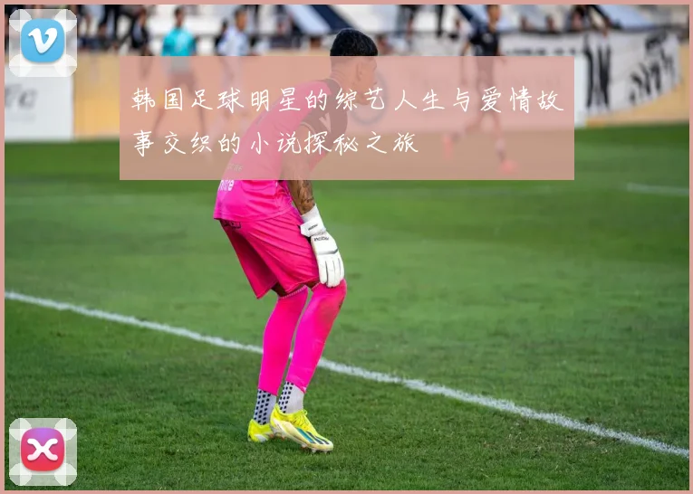 韩国足球明星的综艺人生与爱情故事交织的小说探秘之旅