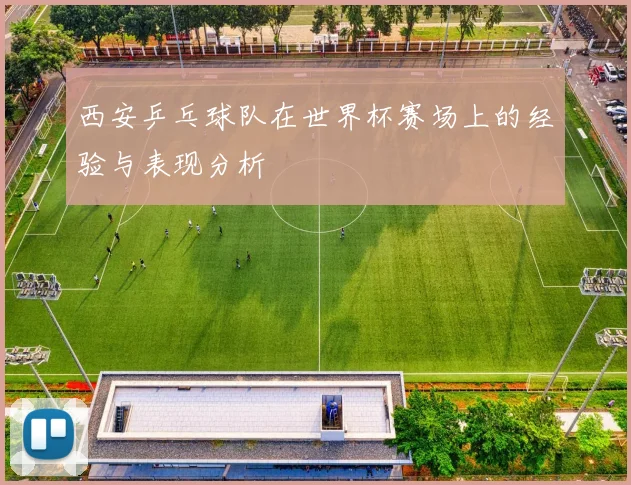 西安乒乓球队在世界杯赛场上的经验与表现分析