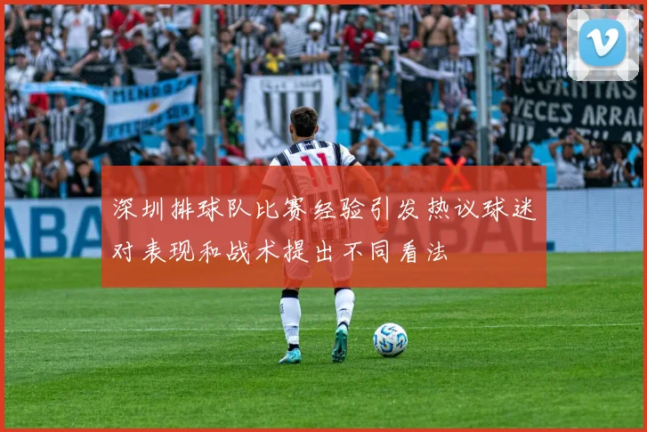 深圳排球队比赛经验引发热议球迷对表现和战术提出不同看法
