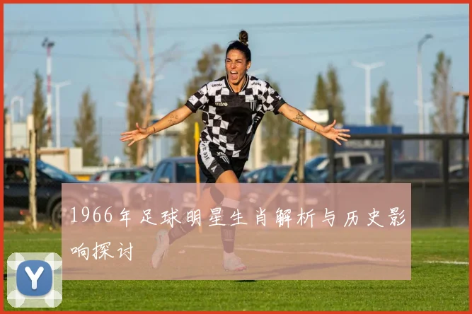 1966年足球明星生肖解析与历史影响探讨