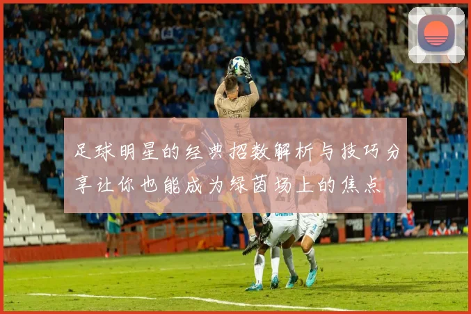 足球明星的经典招数解析与技巧分享让你也能成为绿茵场上的焦点
