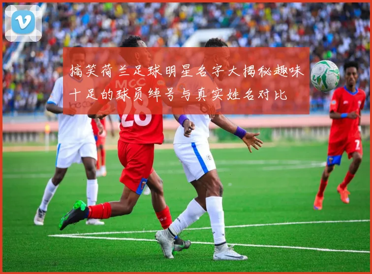 搞笑荷兰足球明星名字大揭秘趣味十足的球员绰号与真实姓名对比