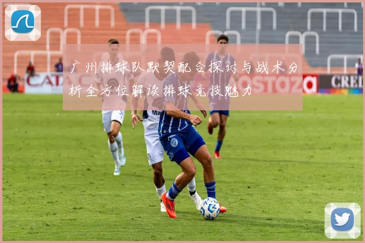 广州排球队默契配合探讨与战术分析全方位解读排球竞技魅力