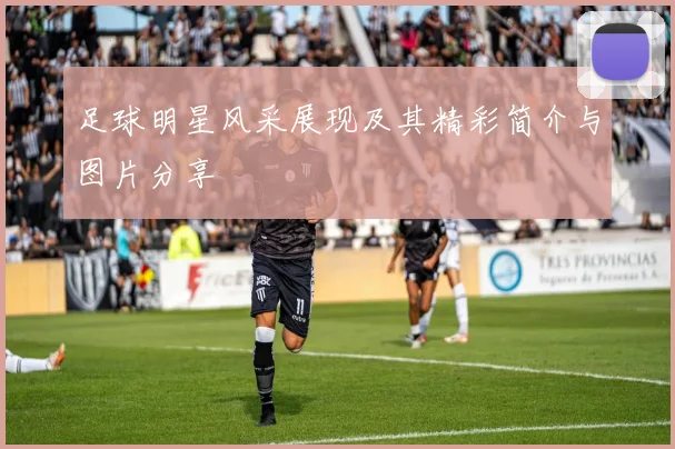 足球明星风采展现及其精彩简介与图片分享
