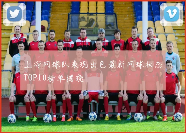 上海网球队表现出色最新网球状态TOP10榜单揭晓