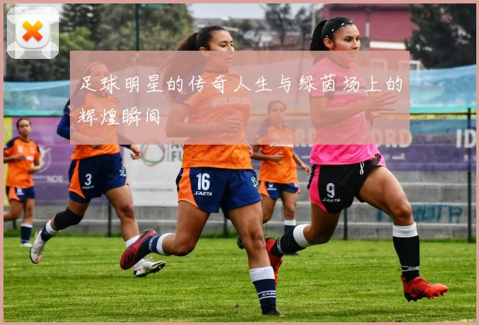 足球明星的传奇人生与绿茵场上的辉煌瞬间
