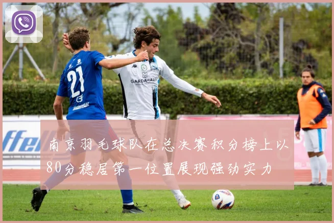 南京羽毛球队在总决赛积分榜上以80分稳居第一位置展现强劲实力