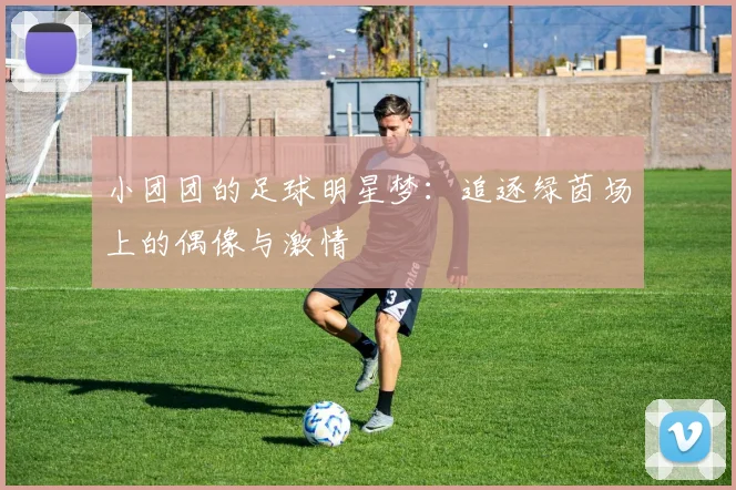 小团团的足球明星梦：追逐绿茵场上的偶像与激情