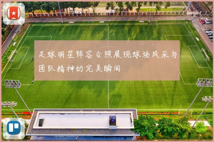 足球明星阵容合照展现球场风采与团队精神的完美瞬间